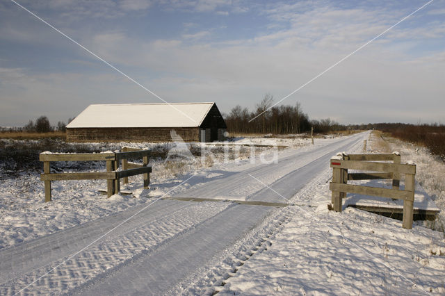 Fochteloërveen