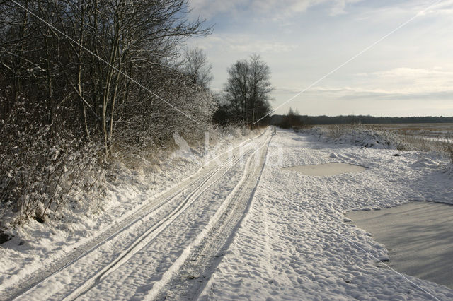 Fochteloërveen