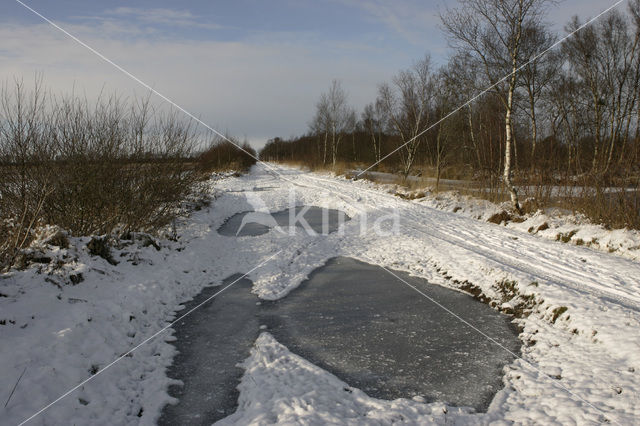 Fochteloërveen