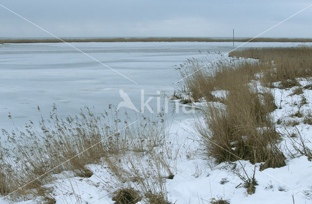 IJsselmeer