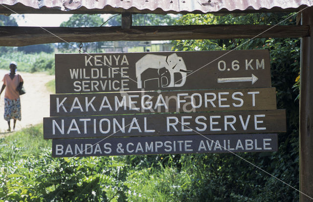 Kakamega Forest National Park