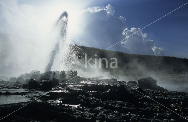 Lake Bogoria National Reserve