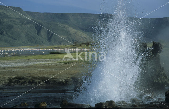 Lake Bogoria National Reserve