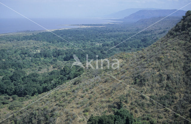 Lake Manyara National Park