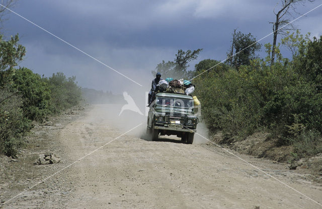 Lake Turkana National Park