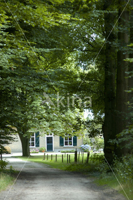 Landgoed de Blauwe Kamer