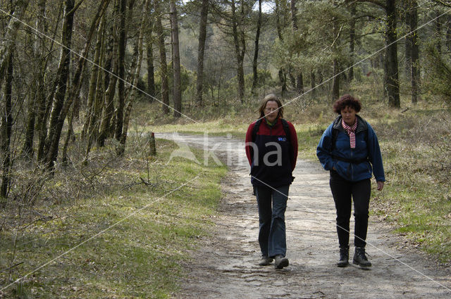 Lemelerberg en Archemerberg