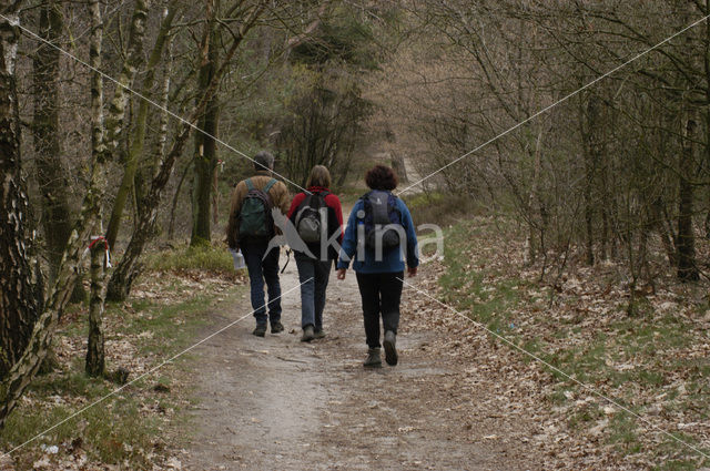 Lemelerberg en Archemerberg