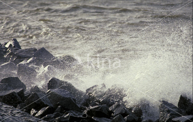 Markermeer