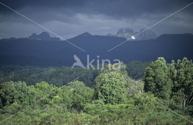 Mount Kenya national park