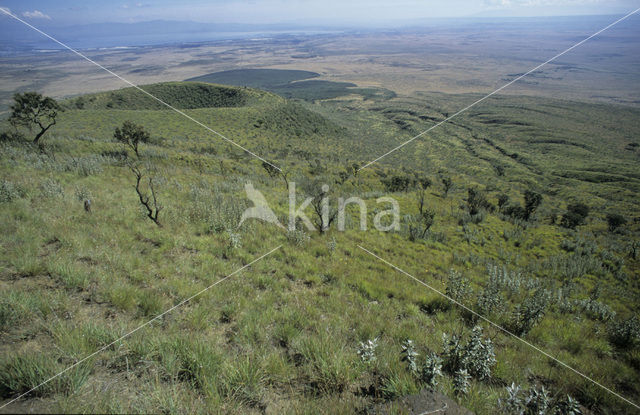 Mount Longonot National Park