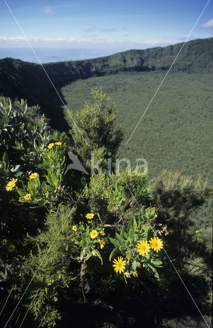 Mount Longonot National Park