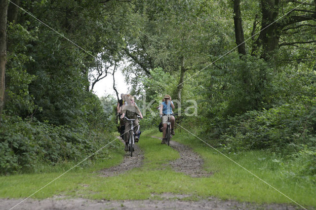 Nationaal beek- en esdorpenlandschap Drentsche Aa