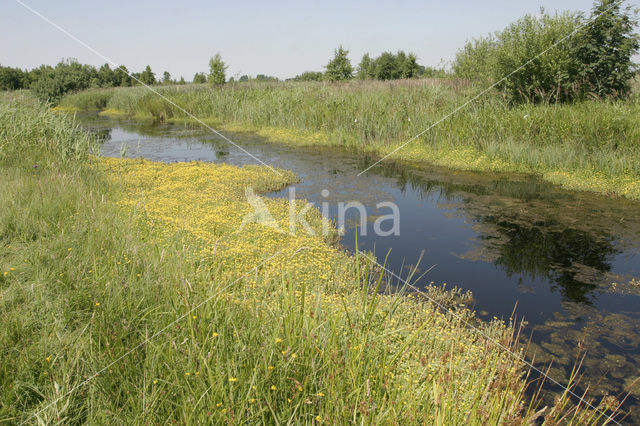 Nationaal Park De Alde Feanen