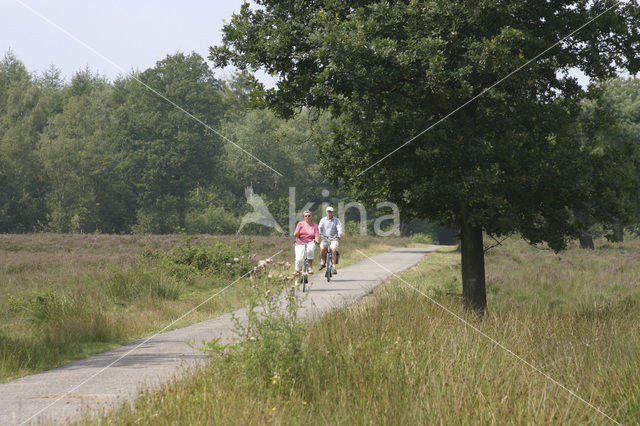 Nationaal Park Drents-Friese Wold