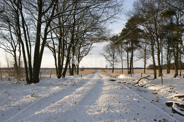 Nationaal Park Drents-Friese Wold