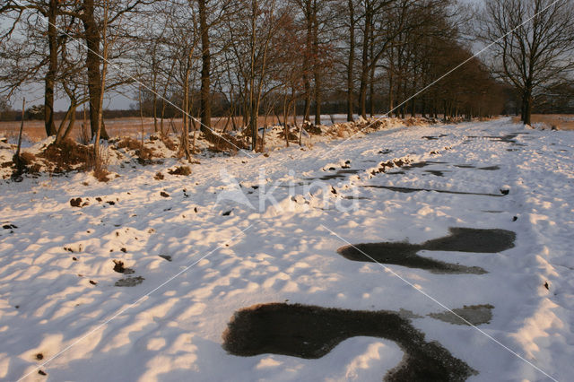 Nationaal Park Drents-Friese Wold