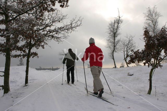 Nationaal Park Drents-Friese Wold