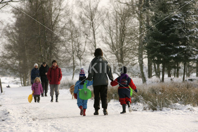 Nationaal Park Drents-Friese Wold