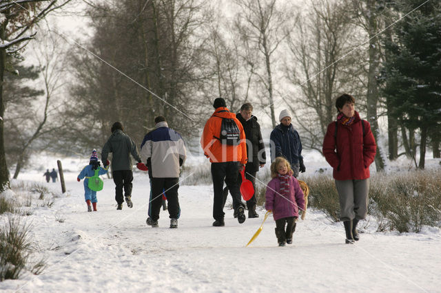 Nationaal Park Drents-Friese Wold