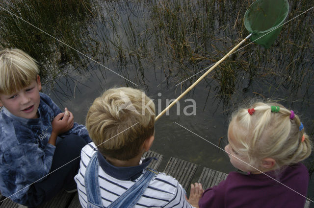 Nationaal Park Dwingelderveld