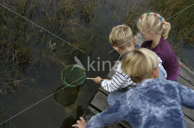 Nationaal Park Dwingelderveld