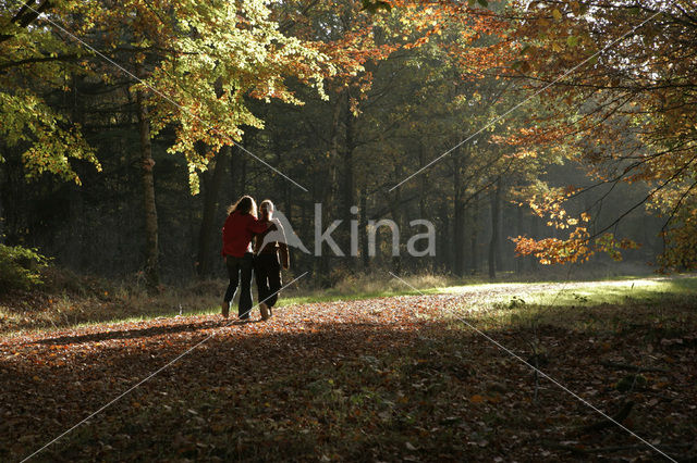 Nationaal Park Dwingelderveld