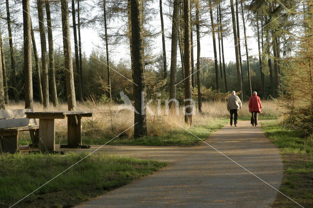 Nationaal Park Dwingelderveld