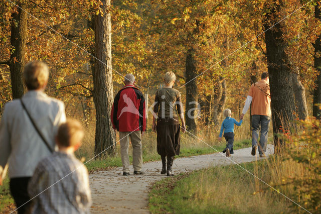 Nationaal Park Dwingelderveld