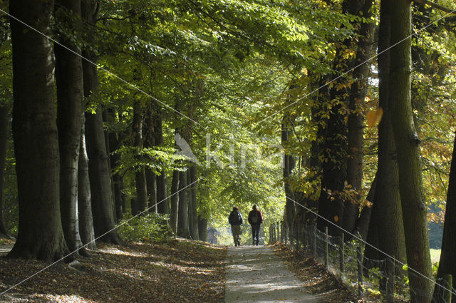 Nationaal Park Veluwezoom