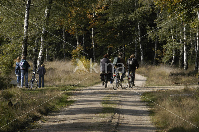 Nationaal Park Veluwezoom