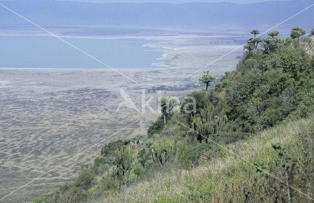 Ngorongoro National Park