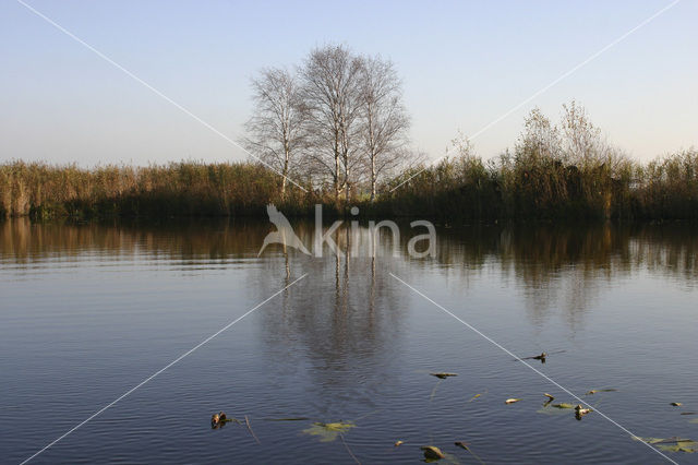 Nieuwkoopse Plassen