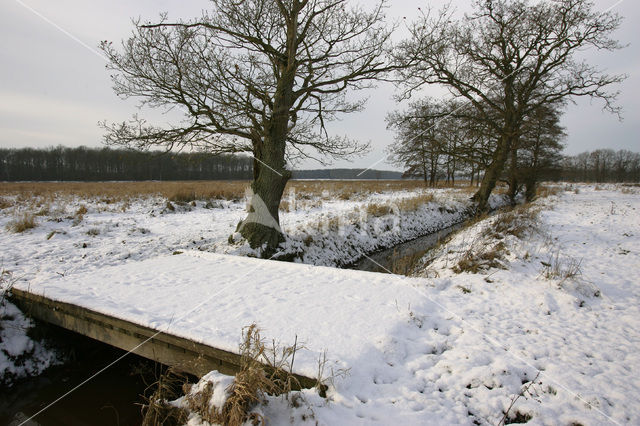 Norger Esdorpenlandschap