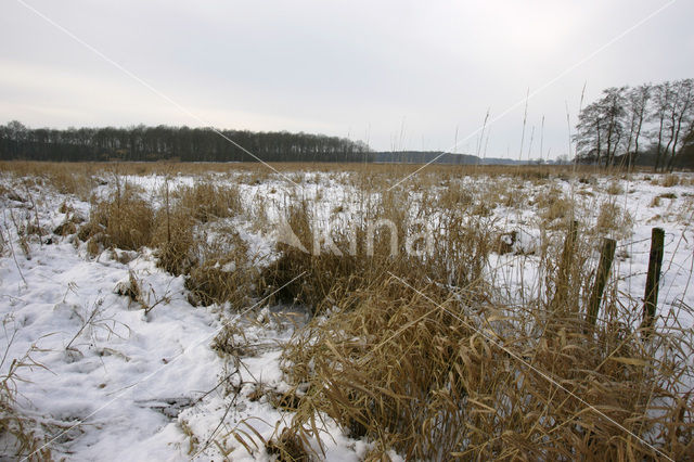 Norger Esdorpenlandschap