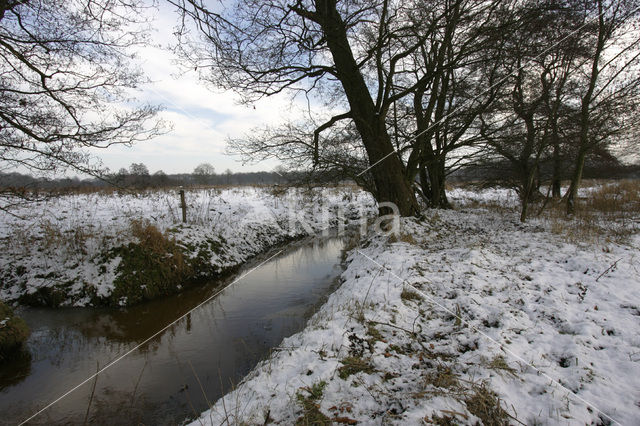 Norger Esdorpenlandschap