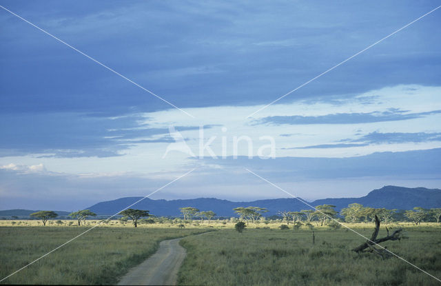 Serengeti National Park