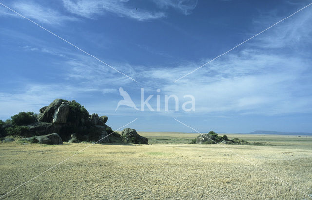 Serengeti National Park