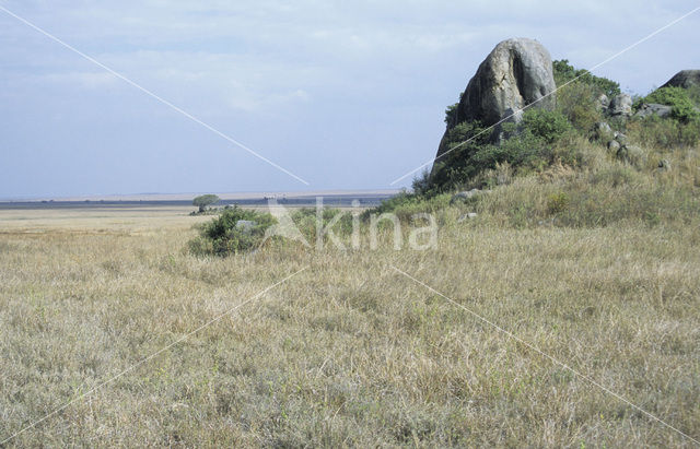 Serengeti National Park