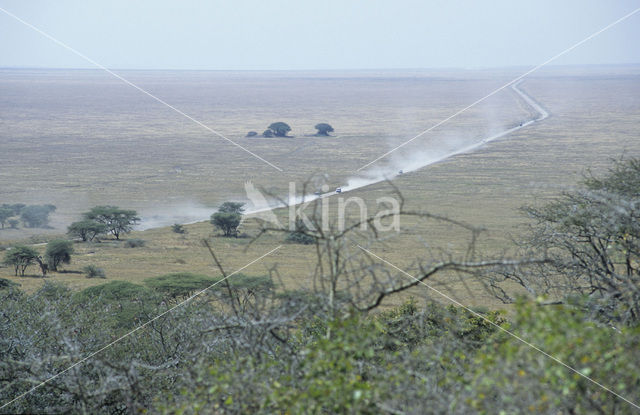 Serengeti national park