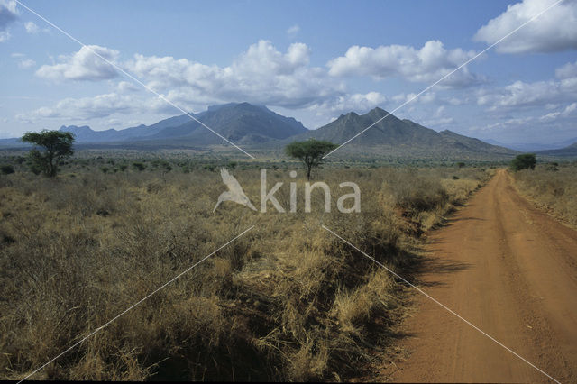 Tsavo West National Park