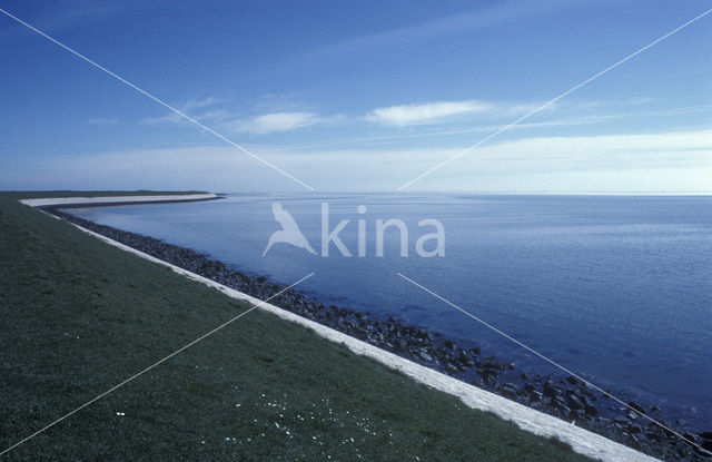 Waddenzee