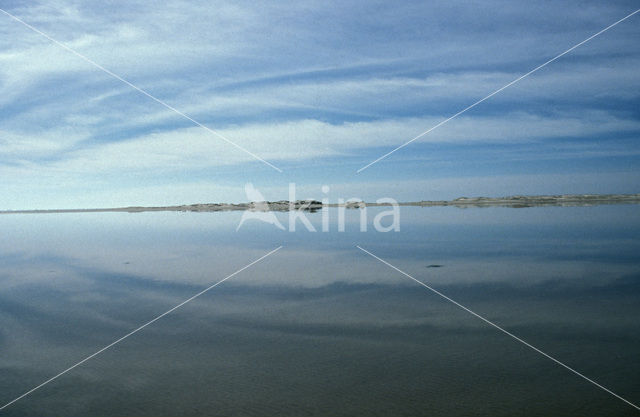 Waddenzee