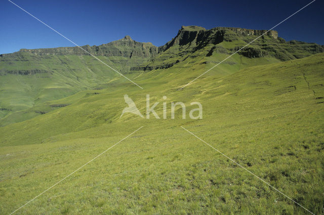 Drakensberg