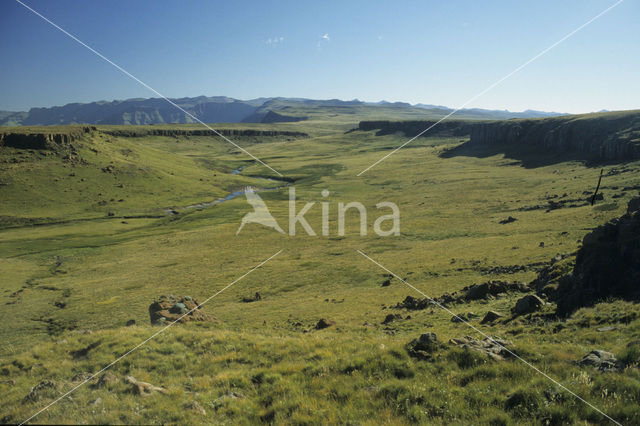 Drakensberg