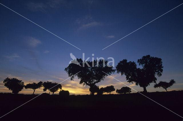 Extremadura