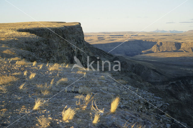 Fish River Canyon