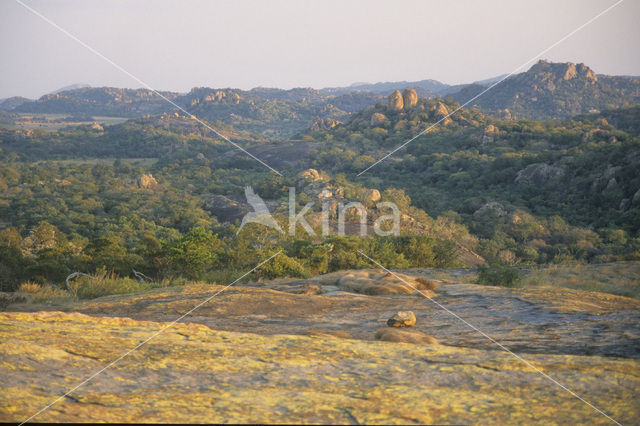 Matopos national park