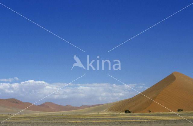 Namib naukluft national park