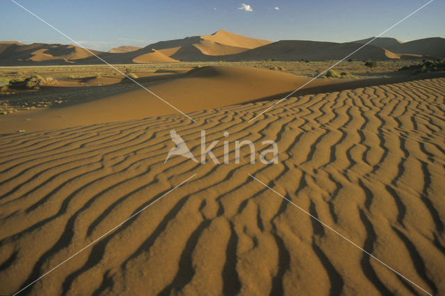 Namib naukluft national park